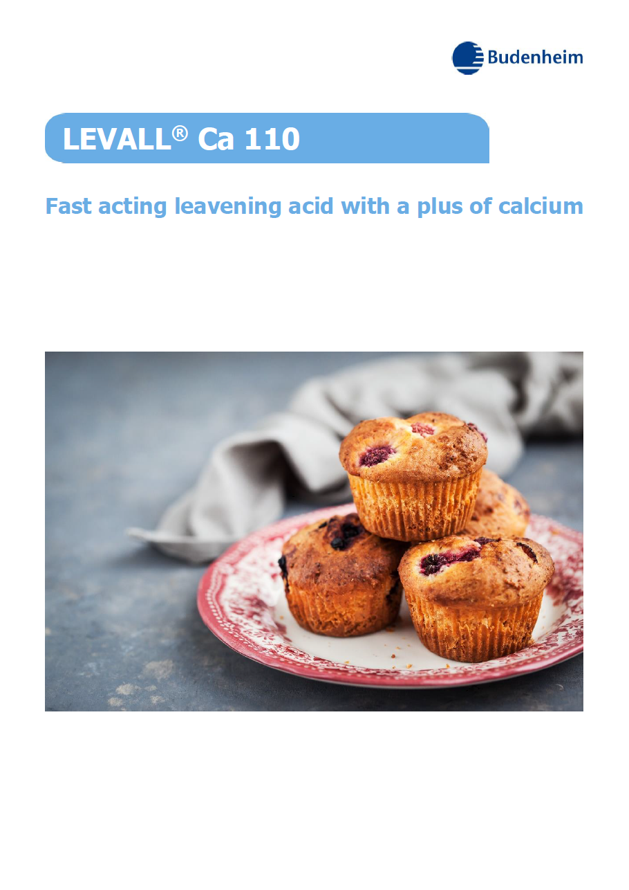 Download - LEVALL Ca 110 (Sales Flyer)