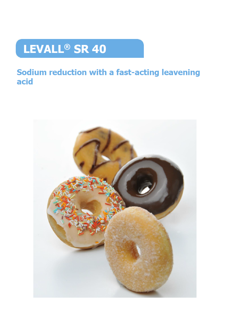 Download - LEVALL SR 40 (Sales Flyer)