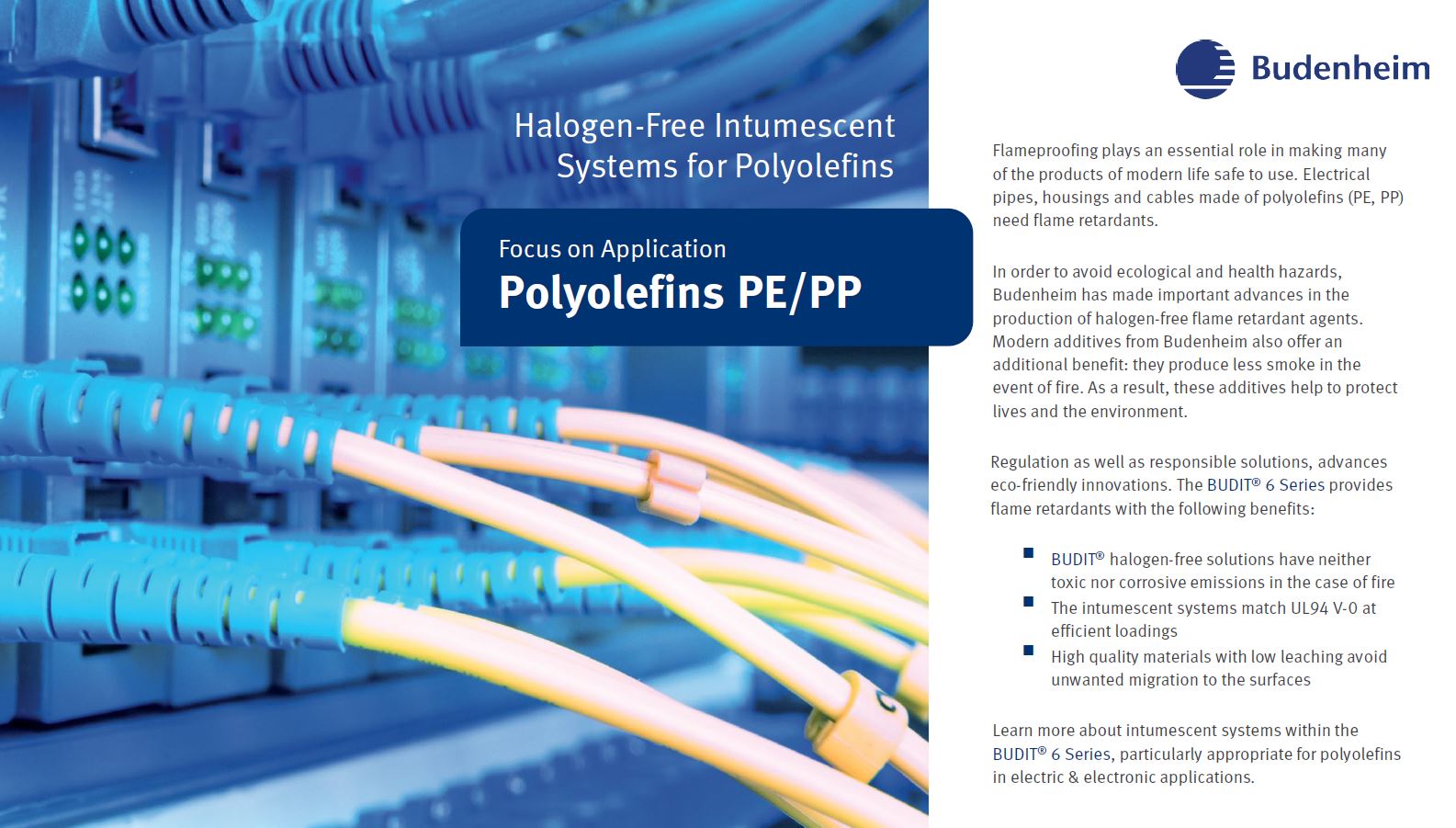 Download - Halogen-Free Flame Retardants for Polyolefins (Focus on ...